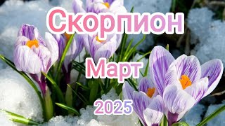 СКОРПИОН ♏ МАРТ 2025✨ Тароскоп ✨