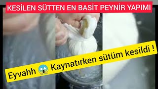 💯KESİLEN SÜTTEN EN BASİT ŞEKİLDE PEYNİR NASIL YAPILIR ? | @ozlematalaysoyer3858 in tarifinden 👍