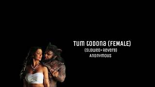 'Tum Todo Na (Female)'  | 'i' movie | (Slowed+Reverb)✿