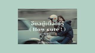 [ Lyrics ] จีบอยู่เผื่อไม่รู้ ( How cute ! ) - WWJ