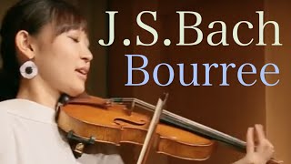 【教本シリーズ】J.S.バッハ ブーレ Bourree  新しいヴァイオリン教本３より 54 Yu Mashiko