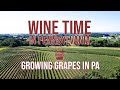 Growing Grapes in PA | Wine Time in Pennsylvania Episode 3