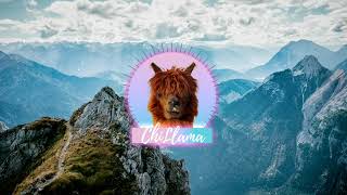 Ajmw - Nights In West - LofiHipHop Music ChillHop Chillout Chill Music for Studying & Relax🦙 🎧