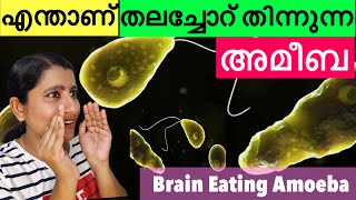 എന്താണ് ബ്രെയിൻ തിന്നുന്ന അമീബ ? / Brain Eating Amoeba ? / Amoebic Meningoencephalitis @lovelyspage