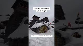 Celebrate New year in Auli \u0026 Chopta #Aulipackage #choptapackage #tungnath #snowfall #travel #viral