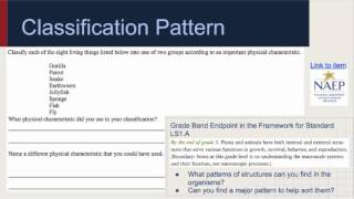 Crosscutting Concept #1: Patterns