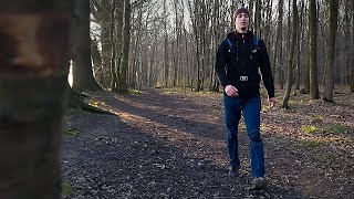 Walk in the Hornbeam Forest - forest, fields, Black Eleder, snow drops, sunny day, fruits