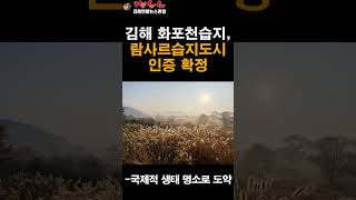 김해연합뉴스종합 - 1분뉴스 -  김해 화포천습지, 람사르습지도시 인증 확정 국제적 생태 명소로 도약