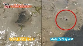 낙지를 빨리 잡는 헌터의 비법은? [뉴 코리아 헌터] 53회 20170605