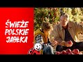 Jabłka Gala | Świeże, polskie jabłka zawsze kupisz w Biedronce!