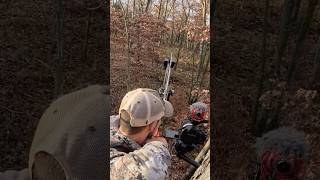 Close Range Perfect Shot With Bow