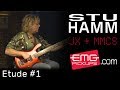 Stu Hamm performs 