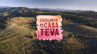 Gaudeix de les vinyes i cellers de Catalunya