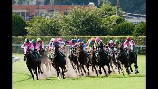 【競馬】第52回 高松宮記念　みんなで見よう【高松宮】