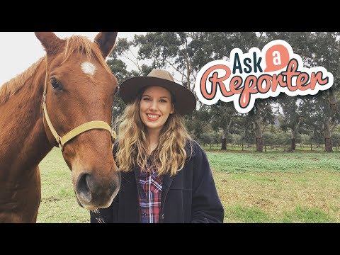 AAR - Controlling Brumbies, ep14 2018 AAR - Controlling Brumbies, ep14 2018