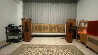 Goldmund telos 590 Nextgen II + Dynaudio contour 3.0