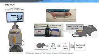 Andreas Melzer: Radiosensitization Effect of MRgFUS in Xenograft Prostate Cancer Model