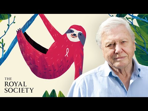 Which factor will most likely decrease biodiversity?
