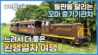 속도 대신 낭만! 느림의 미학 제대로 보여주는 두 칸짜리 꼬마기차│추억의 비둘기호 연상시키는 쿠바 완행열차 여행│세계테마기행│#골라듄다큐