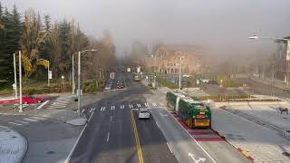 Bus Queue Jump Signal in Seattle
