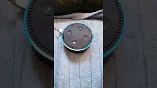 How to Set an Alarm on Alexa Echo Dot