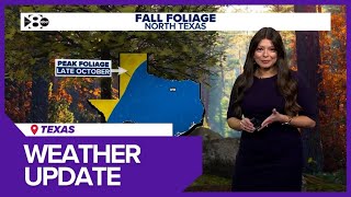 Texas Weather Update Today Full Forecast