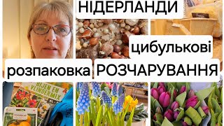 Нідерланди Голландські квіти розчарували 😯  Базар в Нідерландах #українцізакордоном #нідерланди