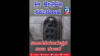 ಈ ಕ್ಷೇತ್ರದಲ್ಲಿ ಸರ್ಪದೋಷ ನಿವಾರಣೆಯಾಗುತ್ತೆ... || Nagaranavile || Navilenageshwara || News12kannada ||