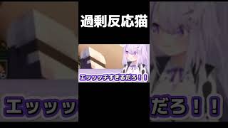 それっぽいワードに男子中学生より過剰反応するおかゆん【ホロライブ/切り抜き/猫又おかゆ/風真いろは/minecraft】