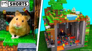 Minecraft Cube hamster maze ep.1 #Shorts 🐹 Minecraft Dungeons 🐹 Homura Ham