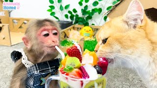 BiBi harvests fruits to make fruit yogurt for Ody cat
