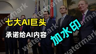 【人工智能】白宫联合七大AI巨头发起自愿承诺书 |  如何对AI生成的内容添加水印 | 马里兰大学论文解读