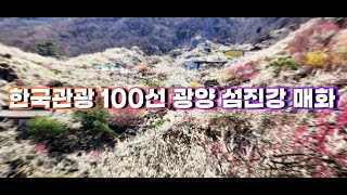 광양매화마을, 2025~2026 한국관광 100선 선정…천만 관광객 꿈꾼다