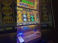 big $1250 bet gamble pokies money slot bigwin grandjackpot viral