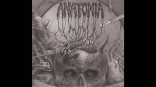 Anatomia - Excarnated