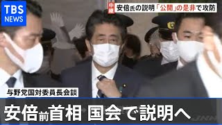 安倍前首相、あす国会招致 政界の反応と今後の流れを記者解説