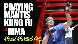 Praying Mantis Kung Fu vs MMA Mixed Martial Arts