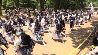 第12回よさこい祭りin光が丘公園(2018/7/15)「かつみ獅子蓮花」