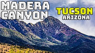 Madera Canyon | Tucson Arizona