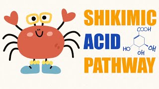 Shikimic acid pathway | pharmacognosy 1