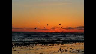 Sunsets and Shores - Prince Edward Island 2018