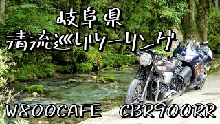 【W800CAFE】 【cbr900rr】 奇蹟の清流　円原川ツーリング