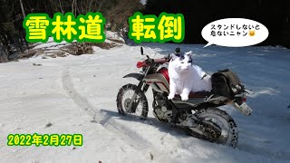 雪林道 セロー転倒