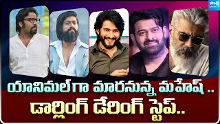 Tollywood Snippets: Mahesh \u0026 Sandeep Vanga Movie Update | Prabhas | Yash | Ajith @sakshitvcinema