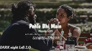 Pehle  Bhi  Main  Tumse  Mila Hu - Pehle- Bhi -Main [ Slowed + Reverb ] | Animal | Vishal Mishra...