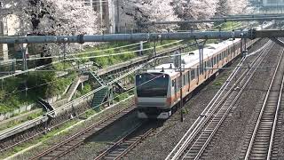 2023年４月１日（土）今日の特別快速「ホリデー快速おくたま３号」779T E233系（T12編成トイレ設置） 青梅行【桜・なのはな】