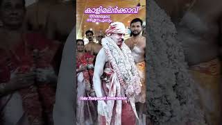 കാളിമലർക്കാവിലമ്മയുടെ ദർശ്ശനപുണ്യം