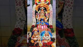 PONKALIAMMAN SONG 🙏🏻#JAIPRATHYANGIRA #SIVAGIRI #108 OM NAMASIVAYA