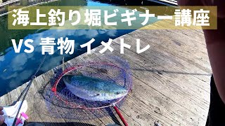 【釣り堀ビギナー講座】青物とのやり取りとスムーズなタモ入れのコツ