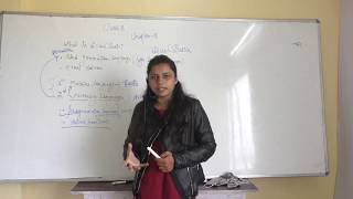 ""What is visual basic ? " class 8 computer basic